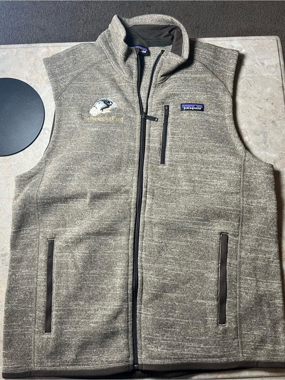 Patagonia Men's Gray Heather Full-Zip Vest